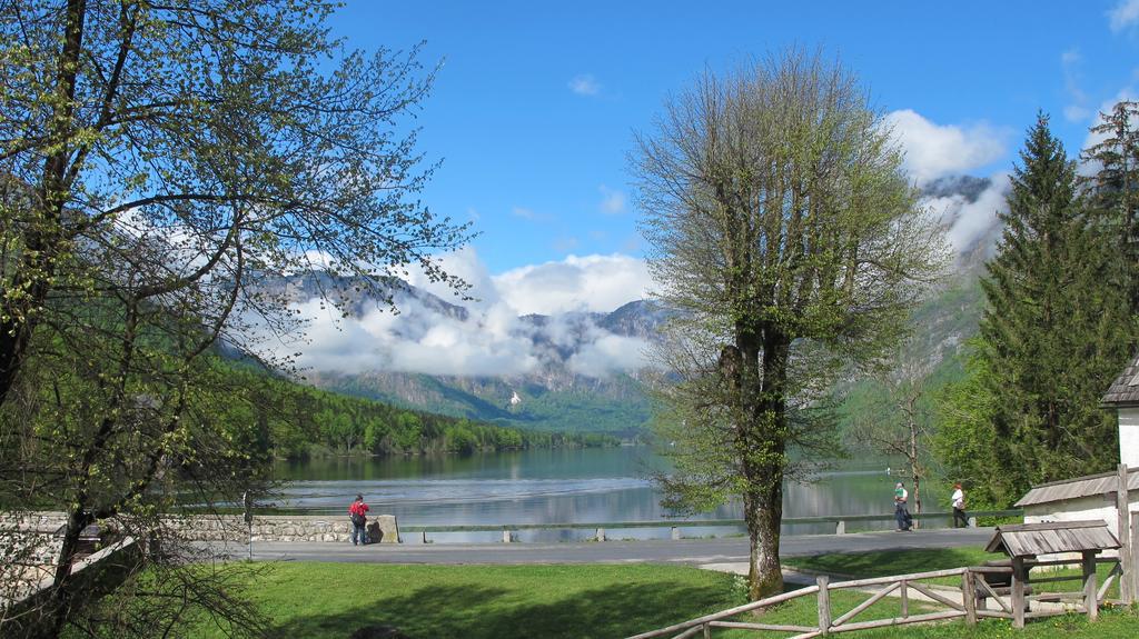 Apartment Zalokar Bohinj Pokoj fotografie