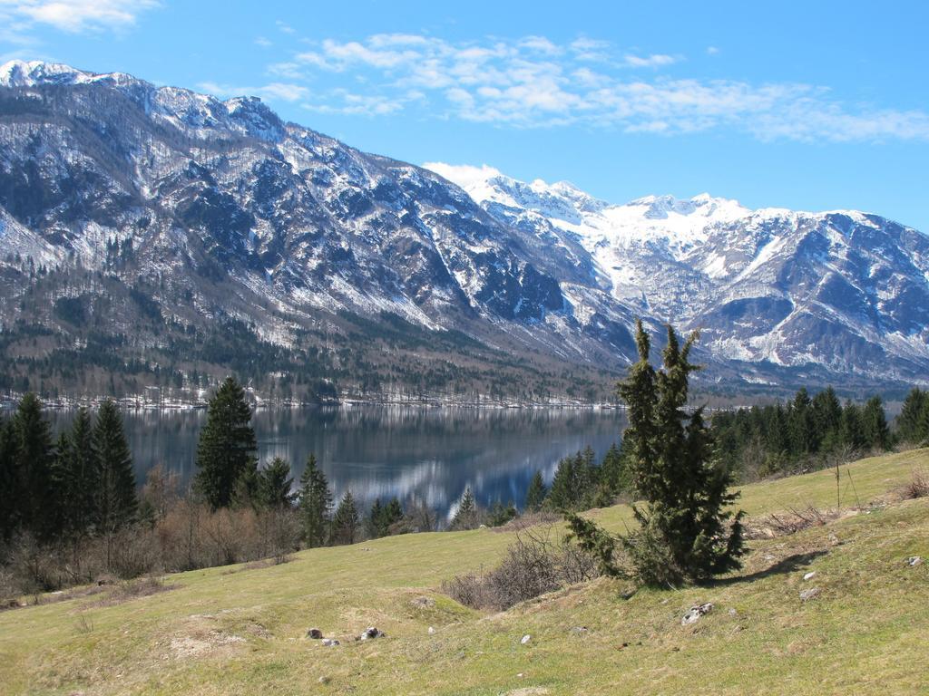 Apartment Zalokar Bohinj Pokoj fotografie