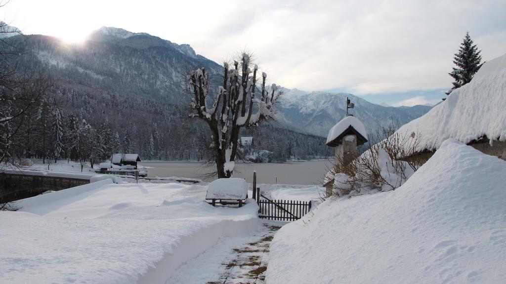 Apartment Zalokar Bohinj Pokoj fotografie